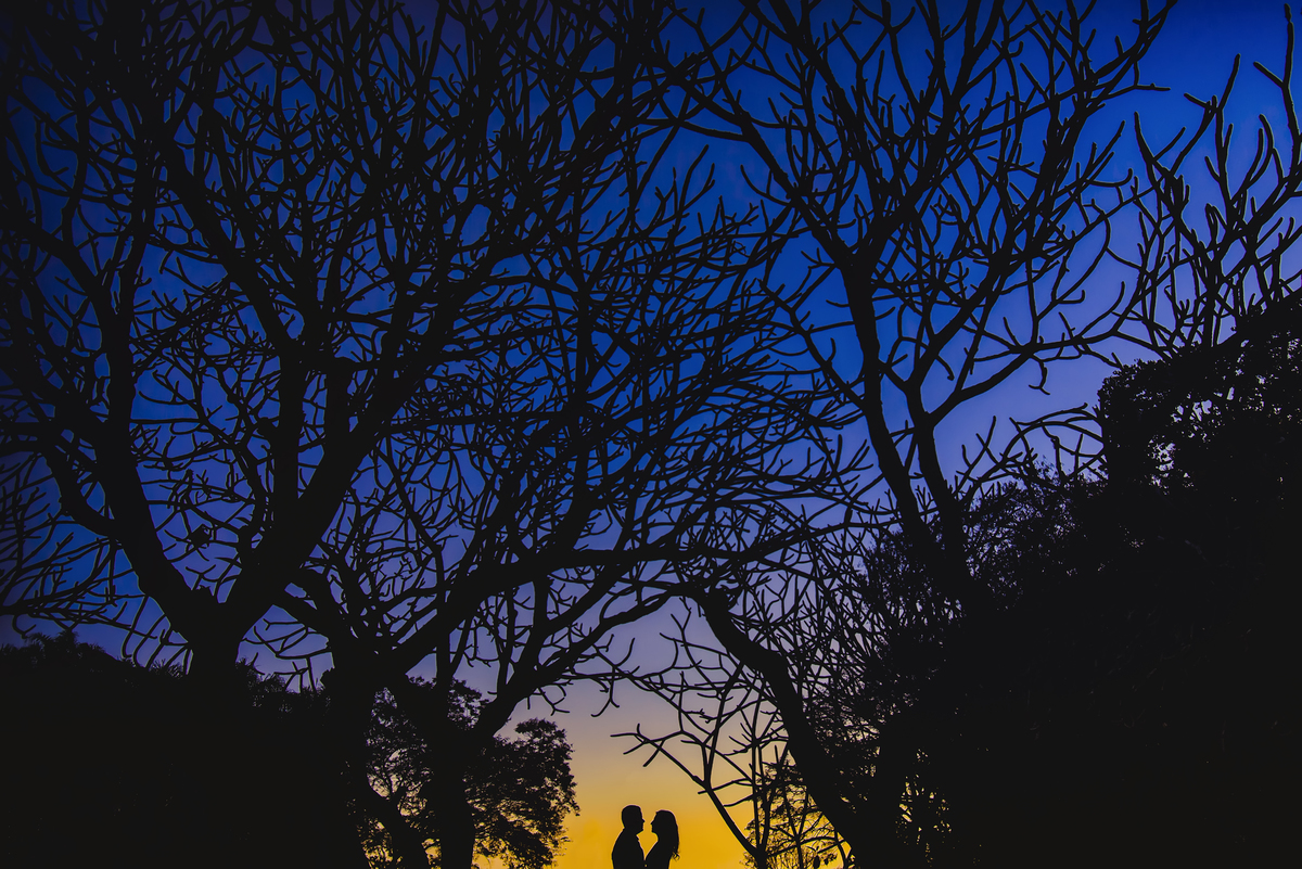 ensaio-pre-casamento-pre-wedding-ensaio-de-casal-arvore-plumeira-rosa-flores-pitangui-martinho-campos-mg-lincoln-carlos