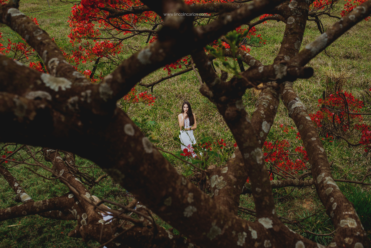 top-15-Rubia-ensaio-de-debutante-ensaio-externo-de-15-anos-fotografia-de-debutante-fotografia-de-15-anos-ensaio-fifteen-lincoln-carlos-fotografia-de-debutante-pompeu-mg