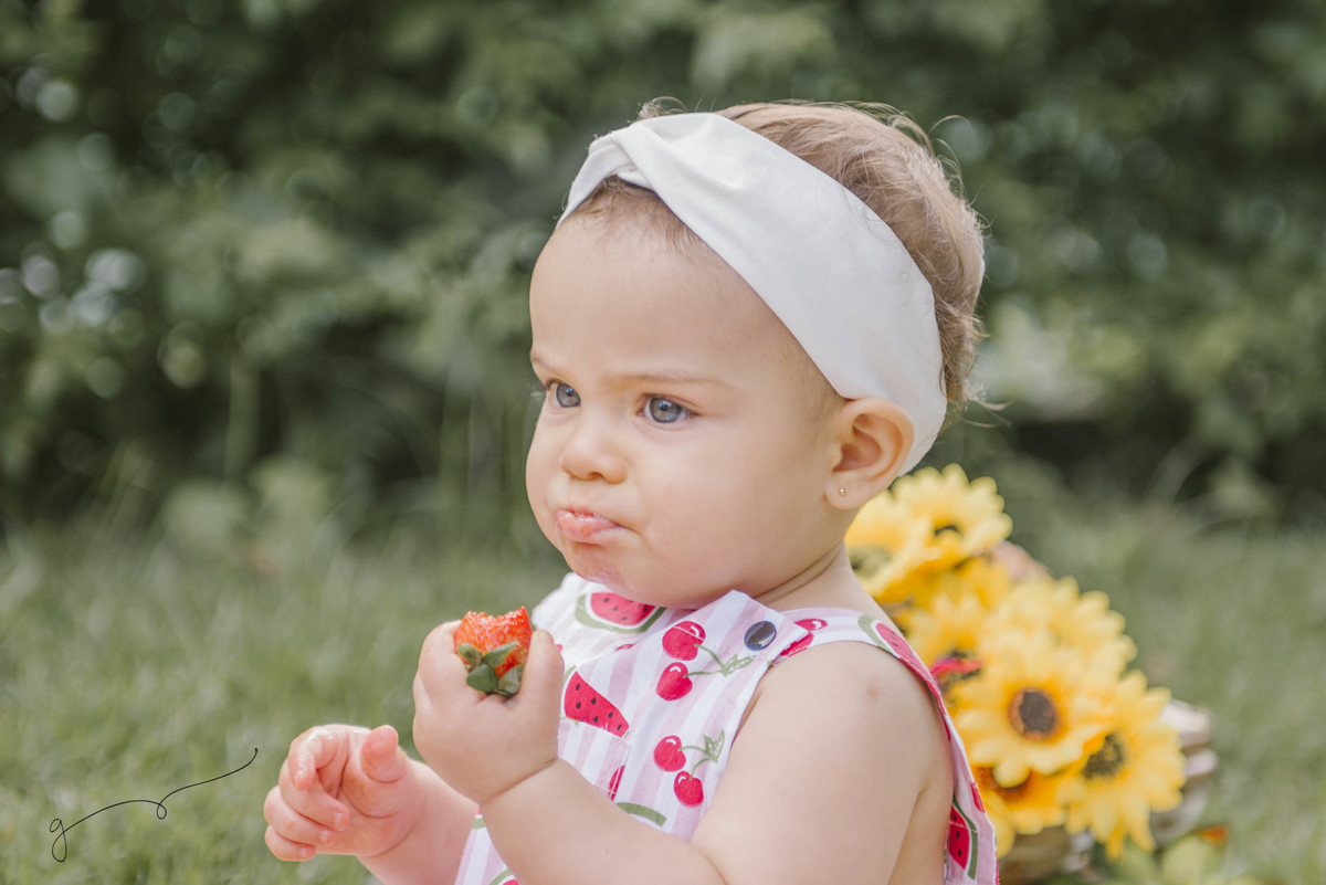 Smash the fruit da Luisa, smash the cake, frutas, vida saudável, bebê fitness, 11 meses do bebê, 1 aninho, festa de aniversário, alimentos para o bebê, açúcar na infância.