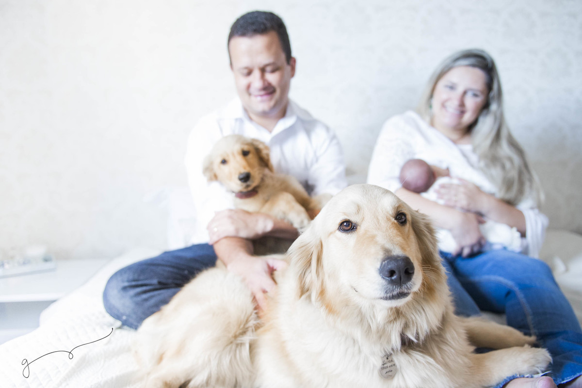 newborn, fotografia, smash the cake, photos, acompanhamento do bebê, maternity, lifestyle, celebrações, crianças, fotografias, gêmeos, batismo, gemeos, gemeosembh.