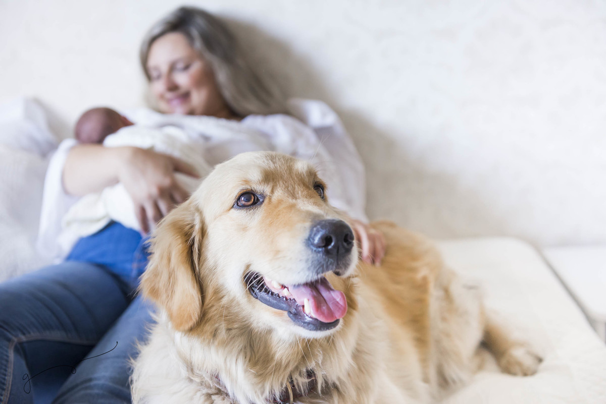 newborn, fotografia, smash the cake, photos, acompanhamento do bebê, maternity, lifestyle, celebrações, crianças, fotografias, gêmeos, batismo, gemeos, gemeosembh.