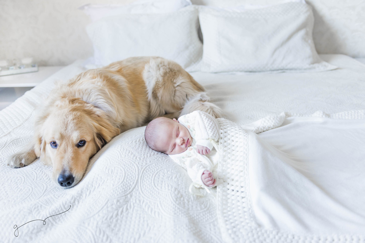 newborn, fotografia, smash the cake, photos, acompanhamento do bebê, maternity, lifestyle, celebrações, crianças, fotografias, gêmeos, batismo, gemeos, gemeosembh.