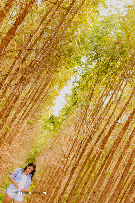 Fotografo de gestante, doce espera, gravidez, gestação, gestantes lindas,sessao gravidez,  books de gravidez, sessao gestante,book de gestante, fotos de gestantes, fotos emocionantes de gravidez , lindas fotos de gestantes, gestaç&ati