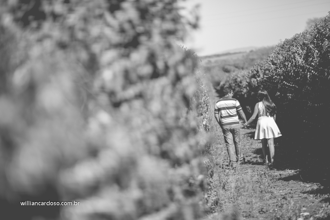 Willian Cardoso fotografo de casamento no Brasil, fotografo de casamentos em minas gerais,  fotografo de casamentos em uberlandia,fotografo de casamento em patrocinio,  fotografo de casamento em patos de minas, fotografo de casamentos em uberaba,  fotogra