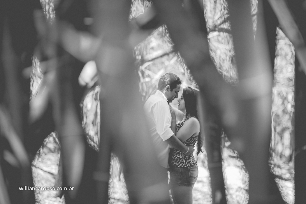 Willian Cardoso fotografo de casamento no Brasil, fotografo de casamentos em minas gerais,  fotografo de casamentos em uberlandia,fotografo de casamento em patrocinio,  fotografo de casamento em patos de minas, fotografo de casamentos em uberaba,  fotogra