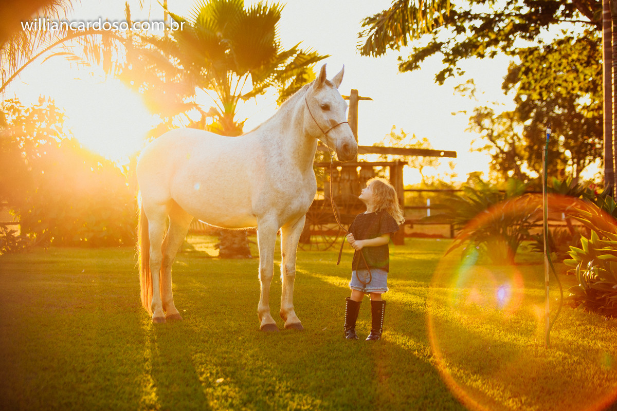 Fotografo de casamentos em Unai