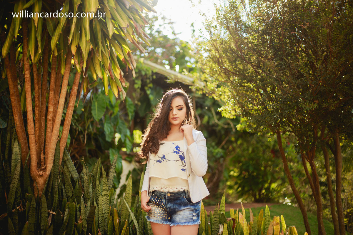 Fifteen Book , cachoeira queda dagua