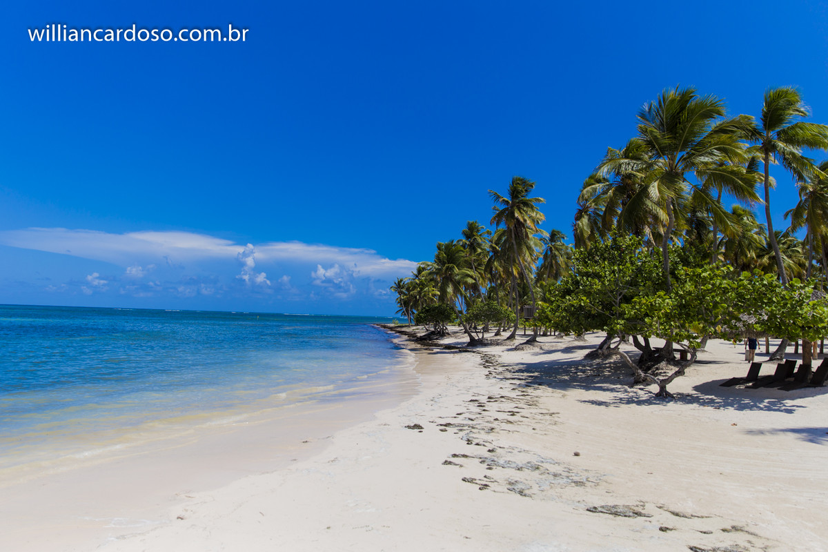 Fotografo de casamentos em minas gerais, realiza ensaio pos casamento no mar do caribe, em punta cana na republica dominicana