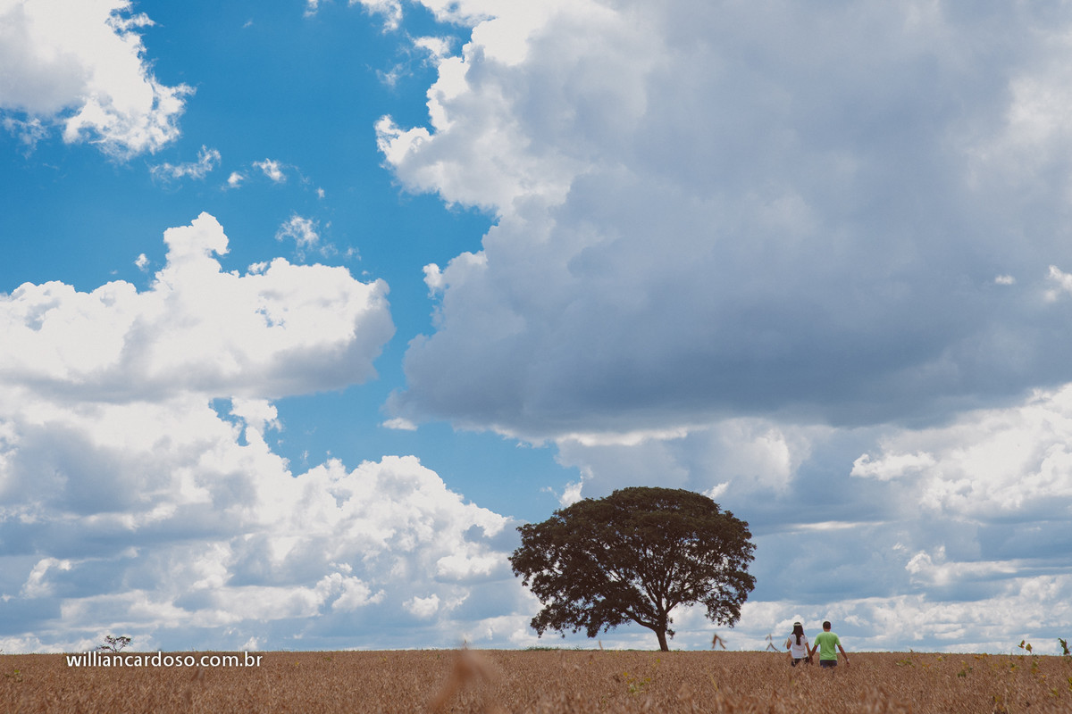 Fotografo de casamentos em Uberlandia, fotos pre wedding em uberlandia, sessao de solteiros em uberlandia,historias que inspiram, historias inspiradoras  pre wedding parque siqueroli, fotografo pre wedding em uberlandia,Sessão de fotos de casamento