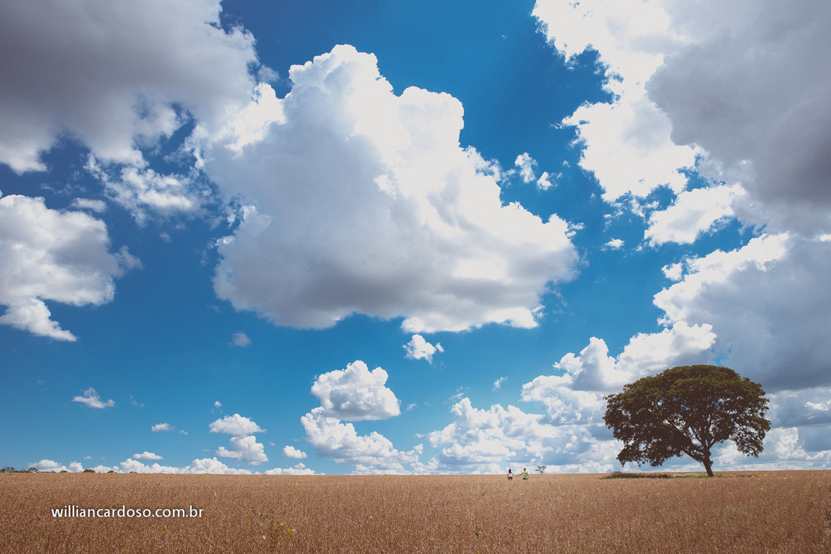 fotografo de casamentos em uberlandia, fotografo em uberlandia, pre wedding em uberlandia