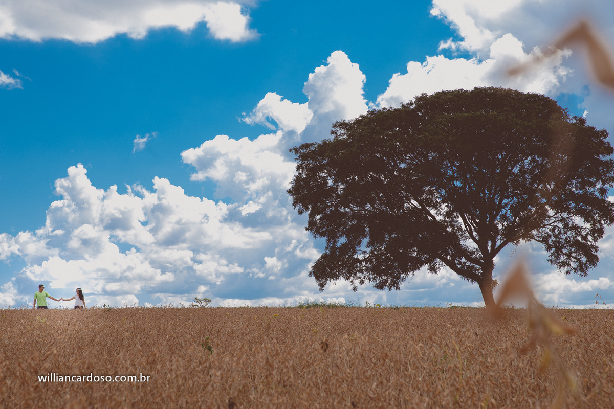 Pre wedding em uberlandia, pre casamentos em uberlandia, fotografo de casamentos em uberlandia
