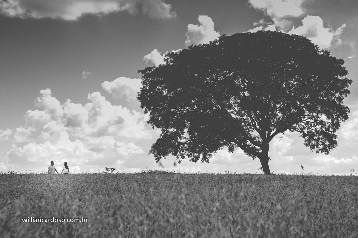 pre wedding em uberlandia