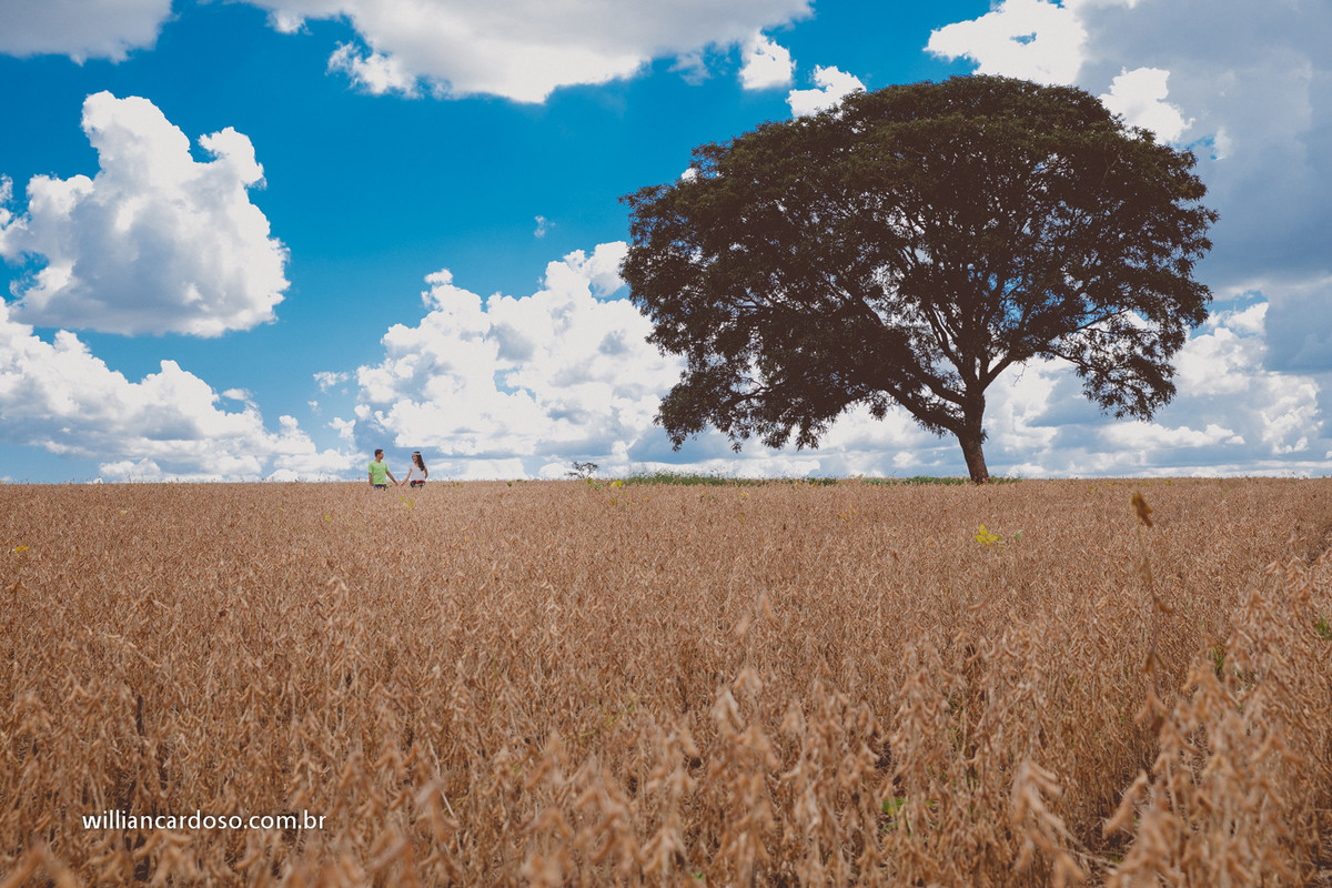 pre casamentos em uberlandia