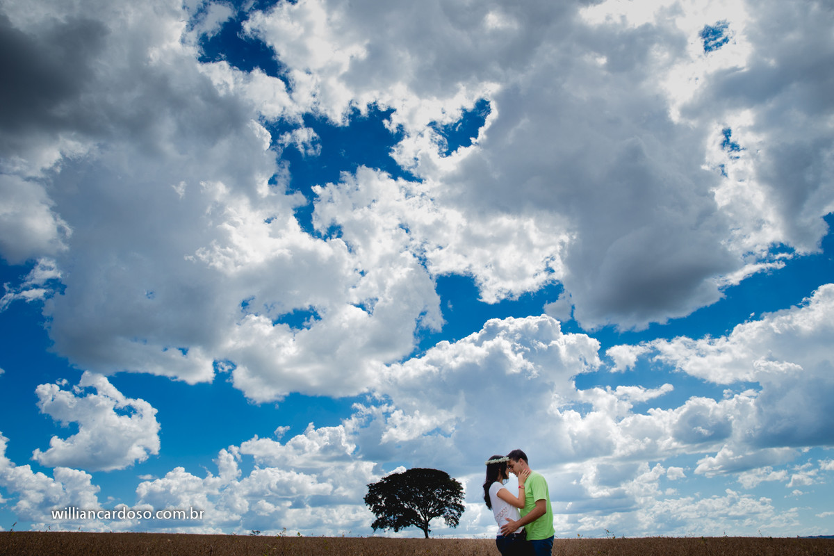 Fotos de noivado no balanço de árvore,Pré-wedding na fazenda ou estilo country,Trash the dress na cachoeira,Ensaio de fotos casal com balão de coração,Sessão de fotos antes do casamento na praia, Sess&atild