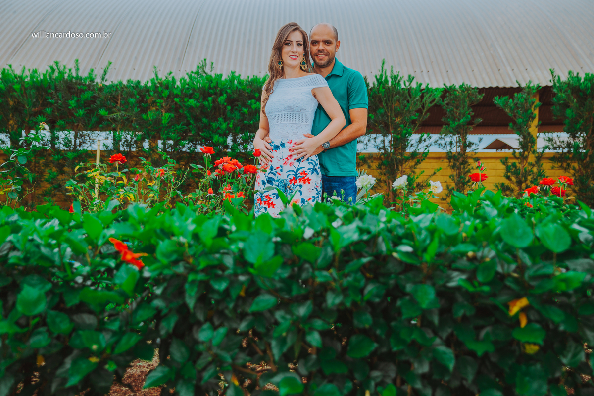 Fotografo em coromandel