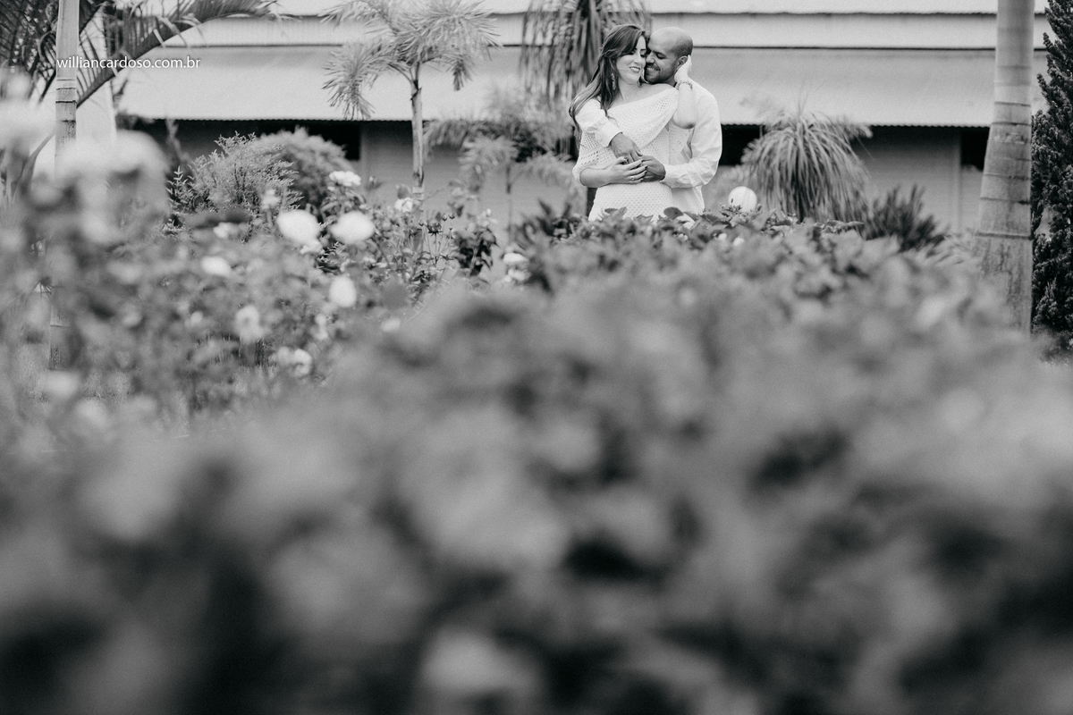 Fotografo em coromandel