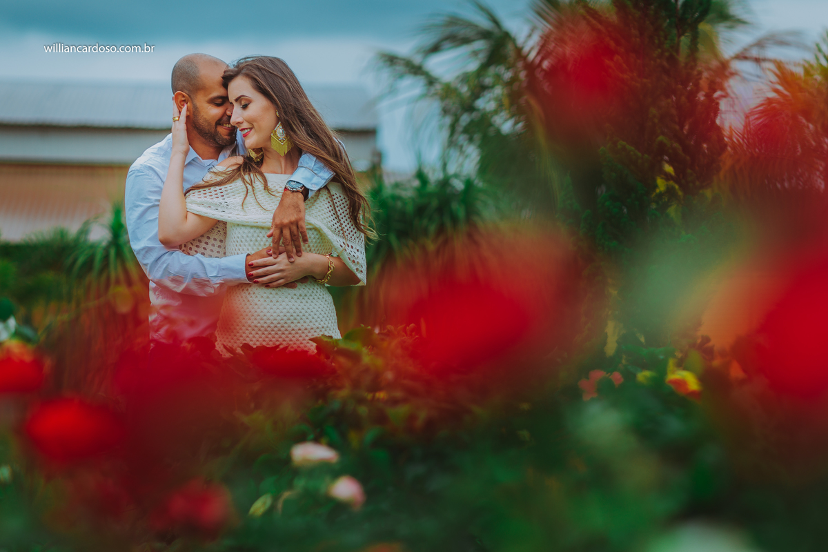 Fotografo em Coromandel