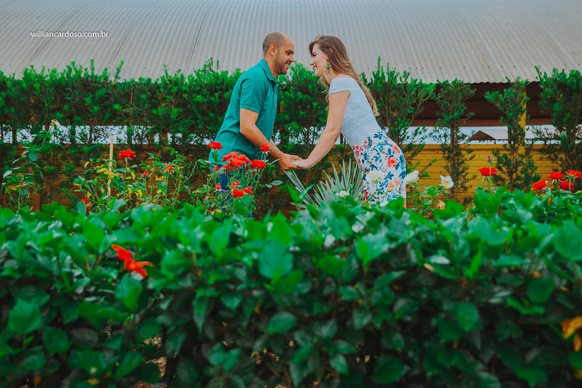 Fotografo em coromandel