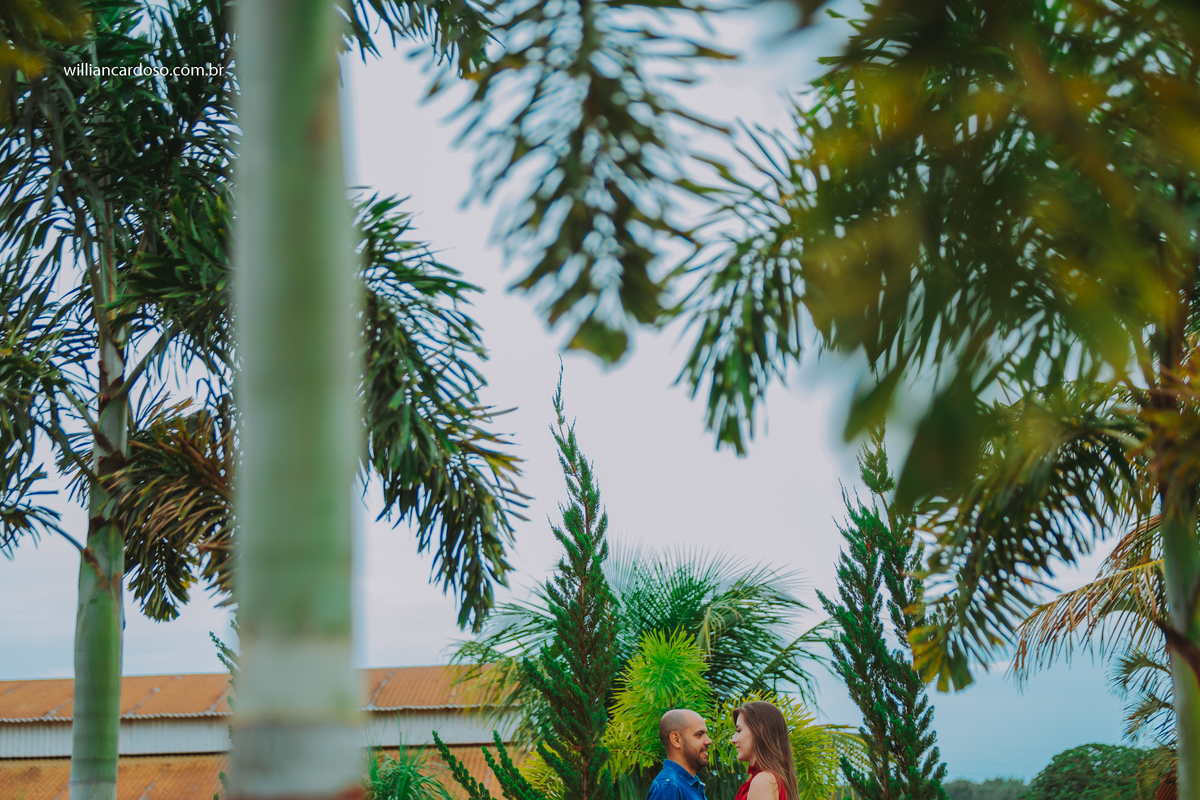 Fotografo de casamentos em coromândel