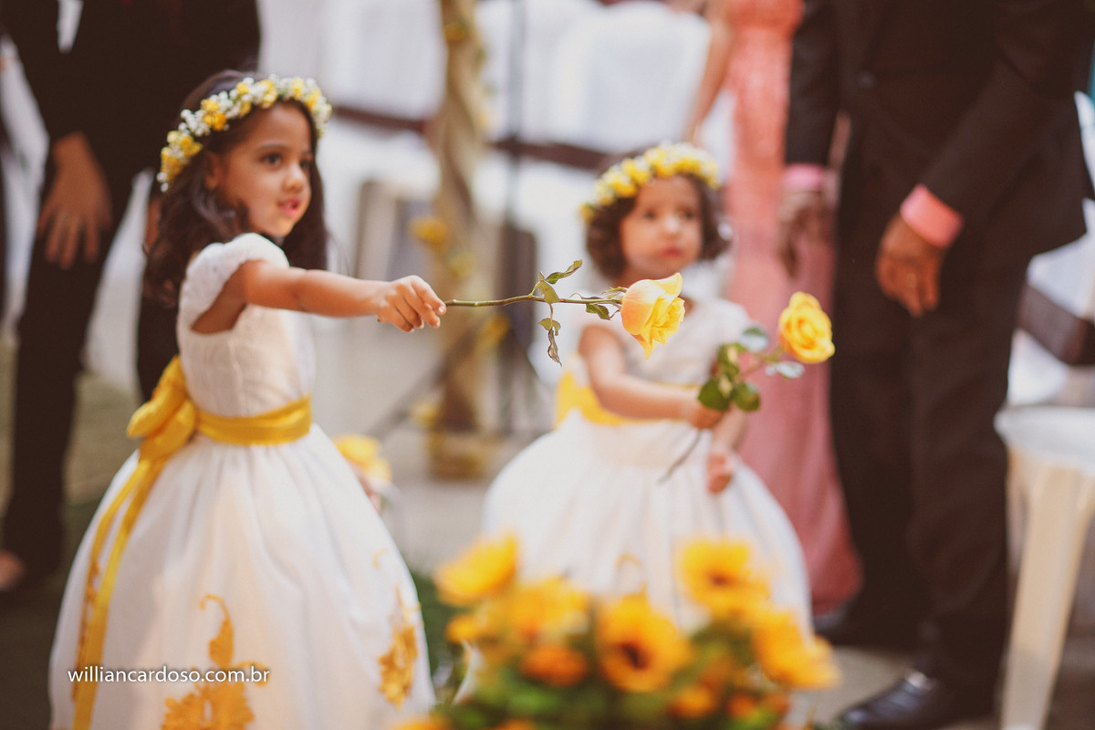 fotografo em coromandel