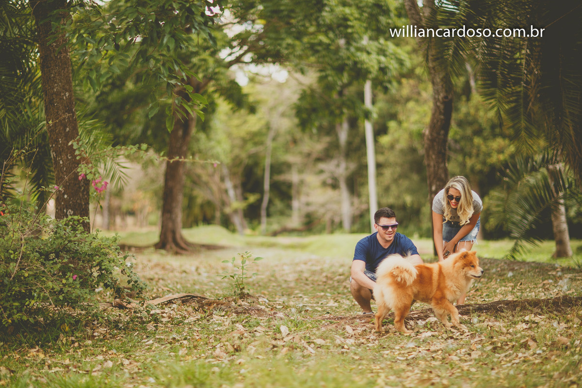 ensaio realizado no grande hotel taua em araxa , com belissimo cachorro da raça xau xau