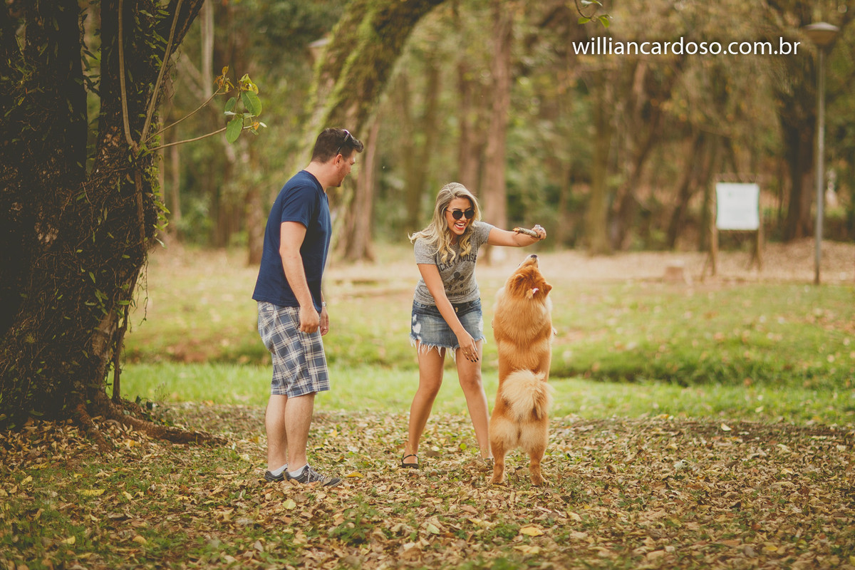 ensaio com casal apaixona pela sua cadelinha da raça xau xau