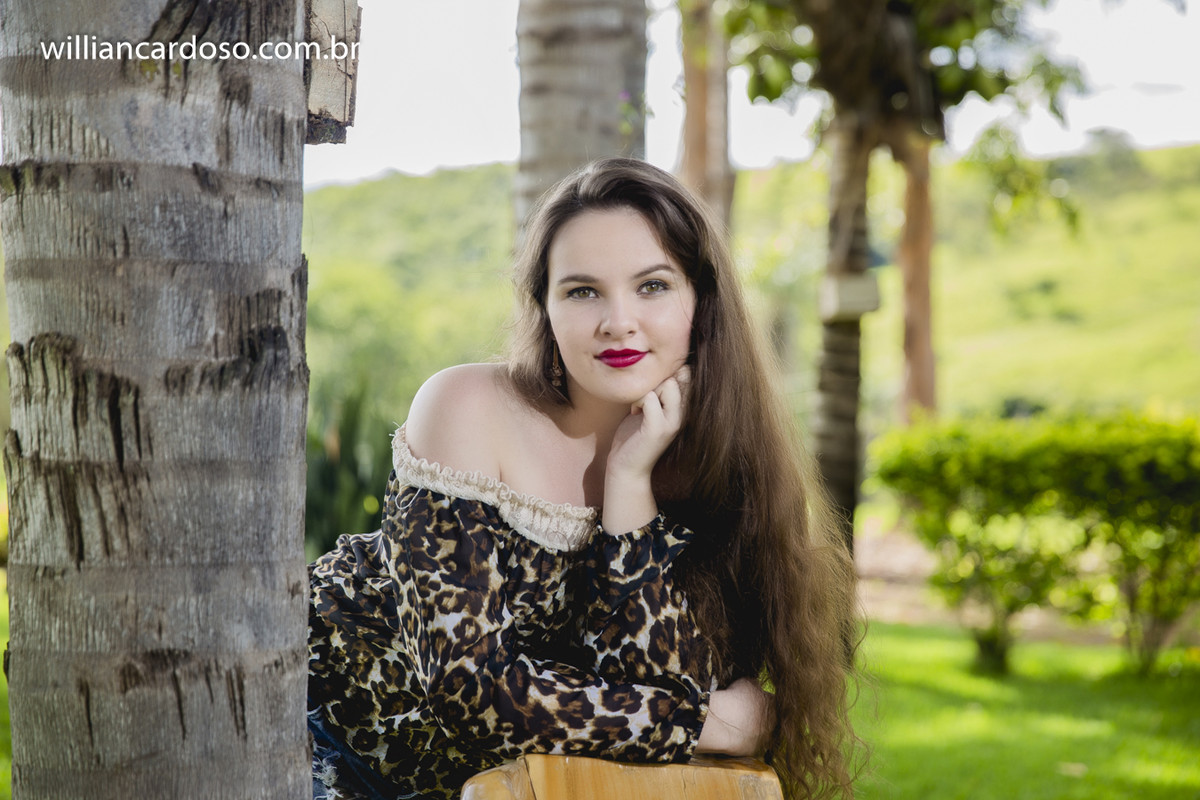 book dos 15 , ensaio de fifeteen , ensaio de 15 anos , books de 15 anos