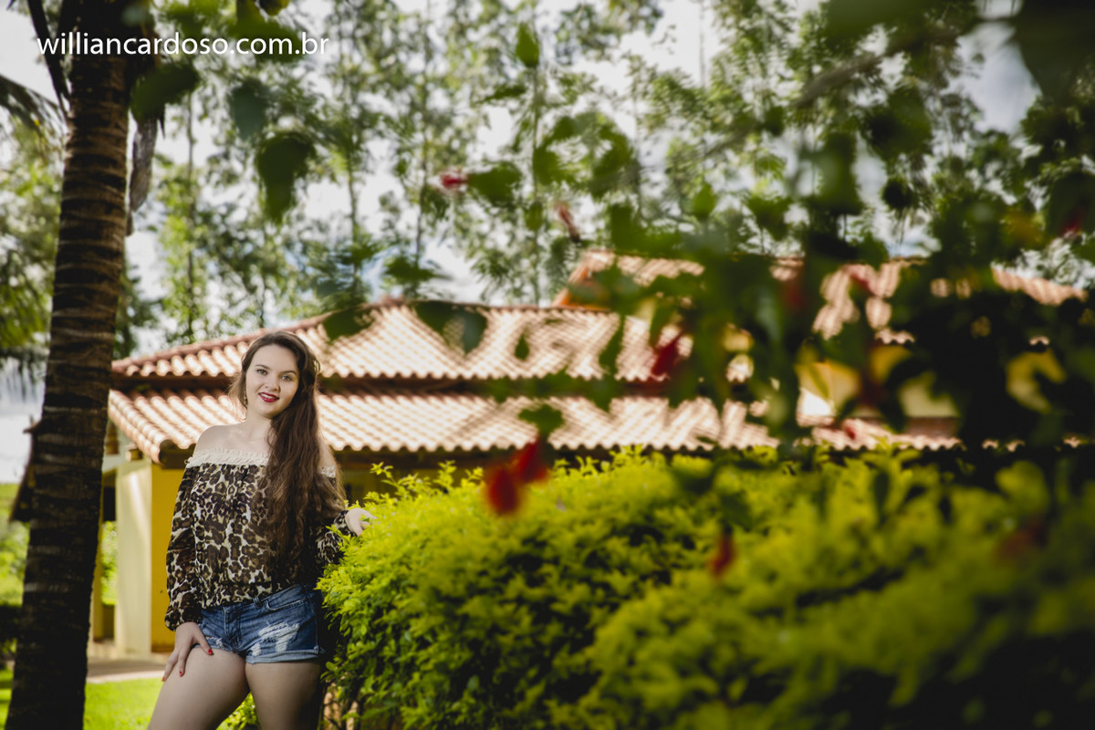 book dos 15 , ensaio de fifeteen , ensaio de 15 anos , books de 15 anos