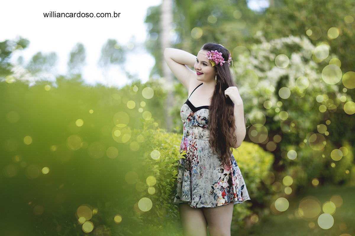 book dos 15 , ensaio de fifeteen , ensaio de 15 anos , books de 15 anos