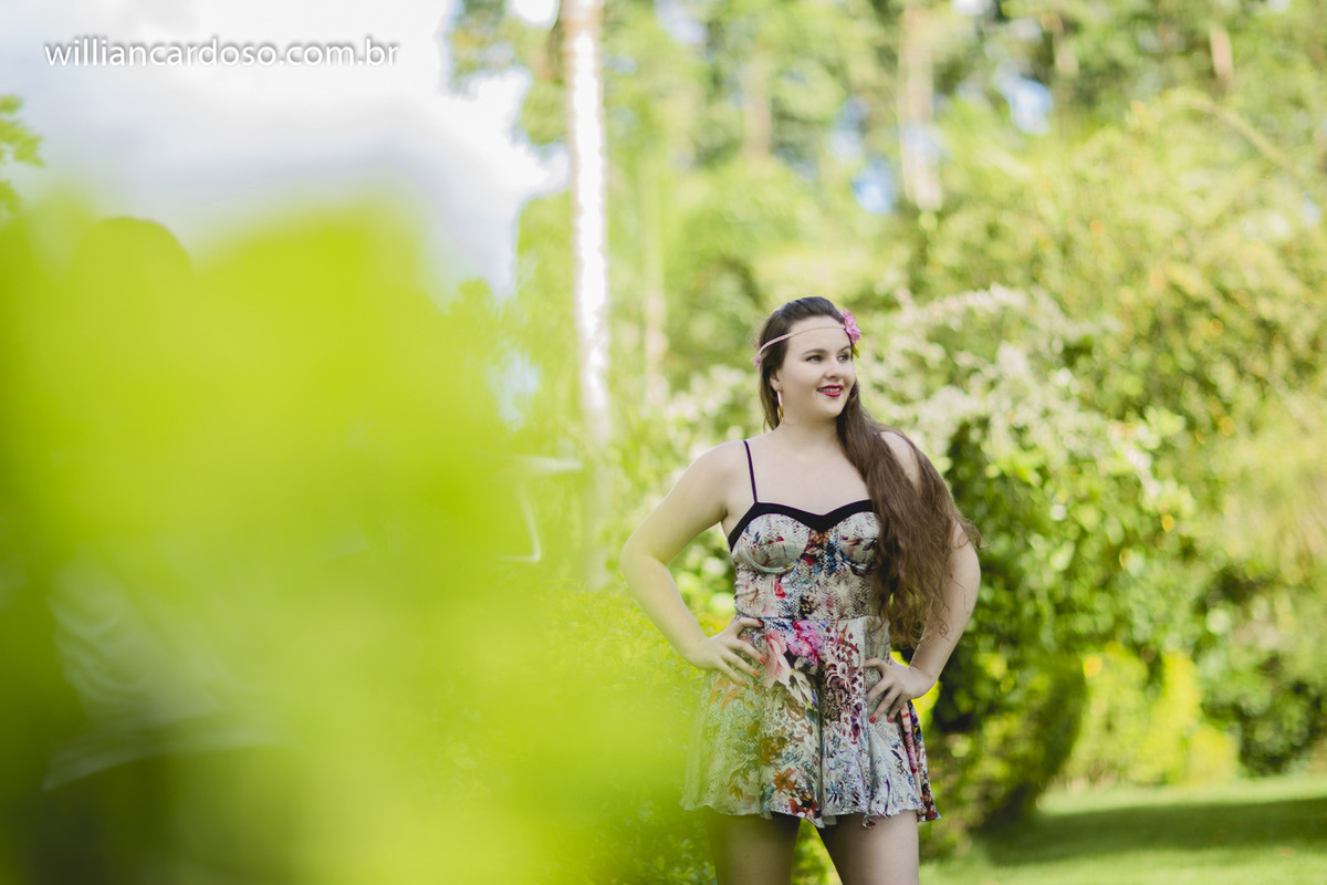 book dos 15 , ensaio de fifeteen , ensaio de 15 anos , books de 15 anos