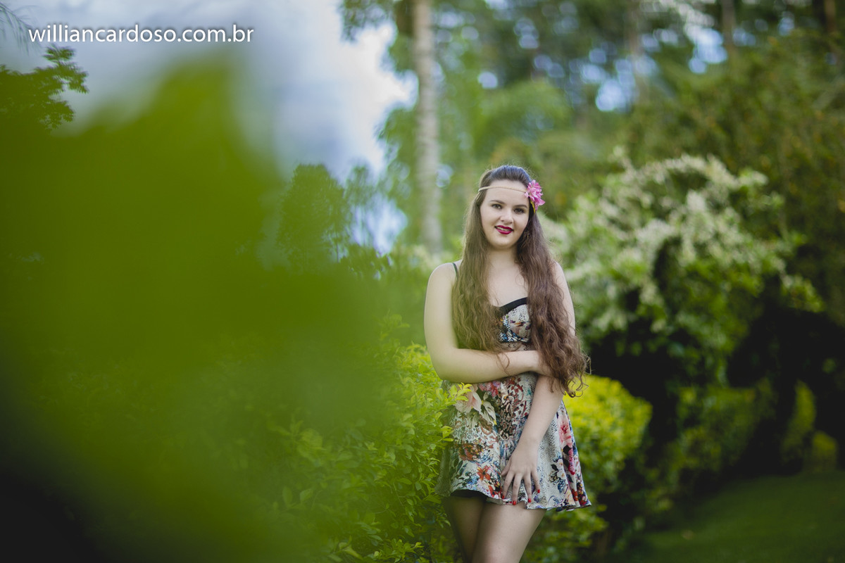 book dos 15 , ensaio de fifeteen , ensaio de 15 anos , books de 15 anos