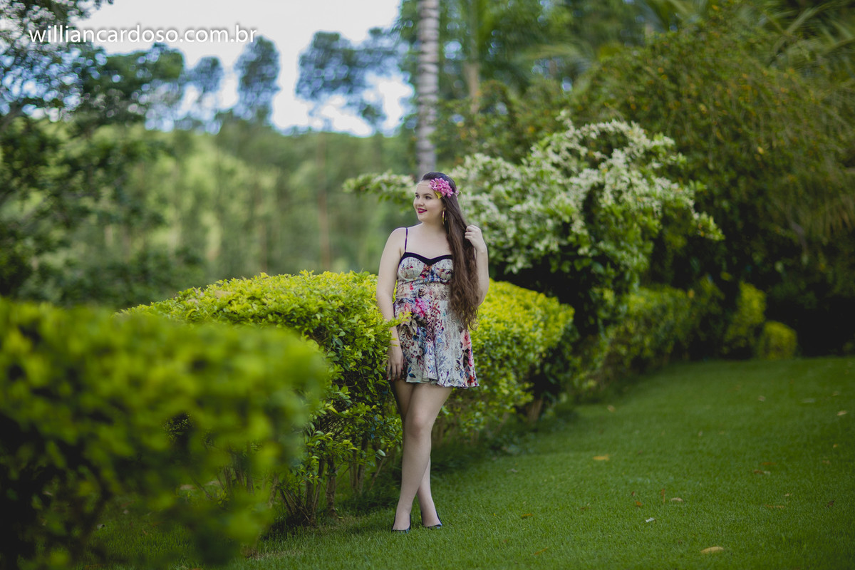 book dos 15 , ensaio de fifeteen , ensaio de 15 anos , books de 15 anos