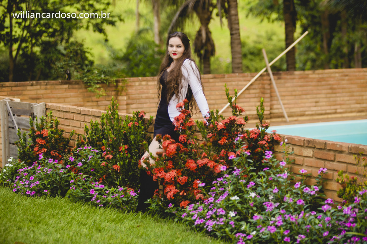 book dos 15 , ensaio de fifeteen , ensaio de 15 anos , books de 15 anos