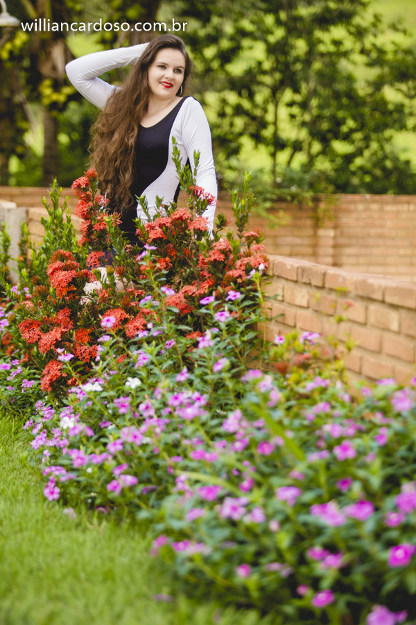 book dos 15 , ensaio de fifeteen , ensaio de 15 anos , books de 15 anos