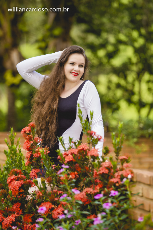 book dos 15 , ensaio de fifeteen , ensaio de 15 anos , books de 15 anos