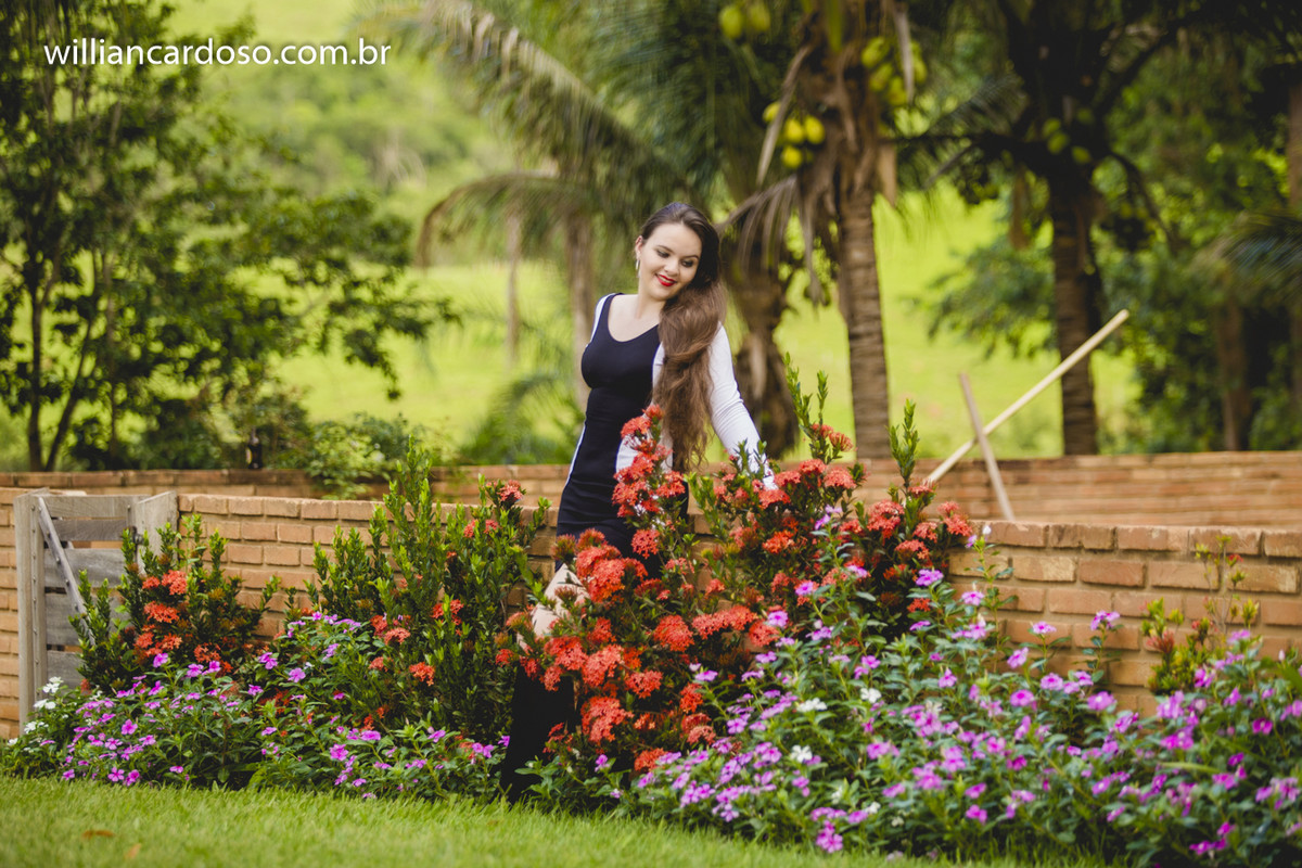 book dos 15 , ensaio de fifeteen , ensaio de 15 anos , books de 15 anos