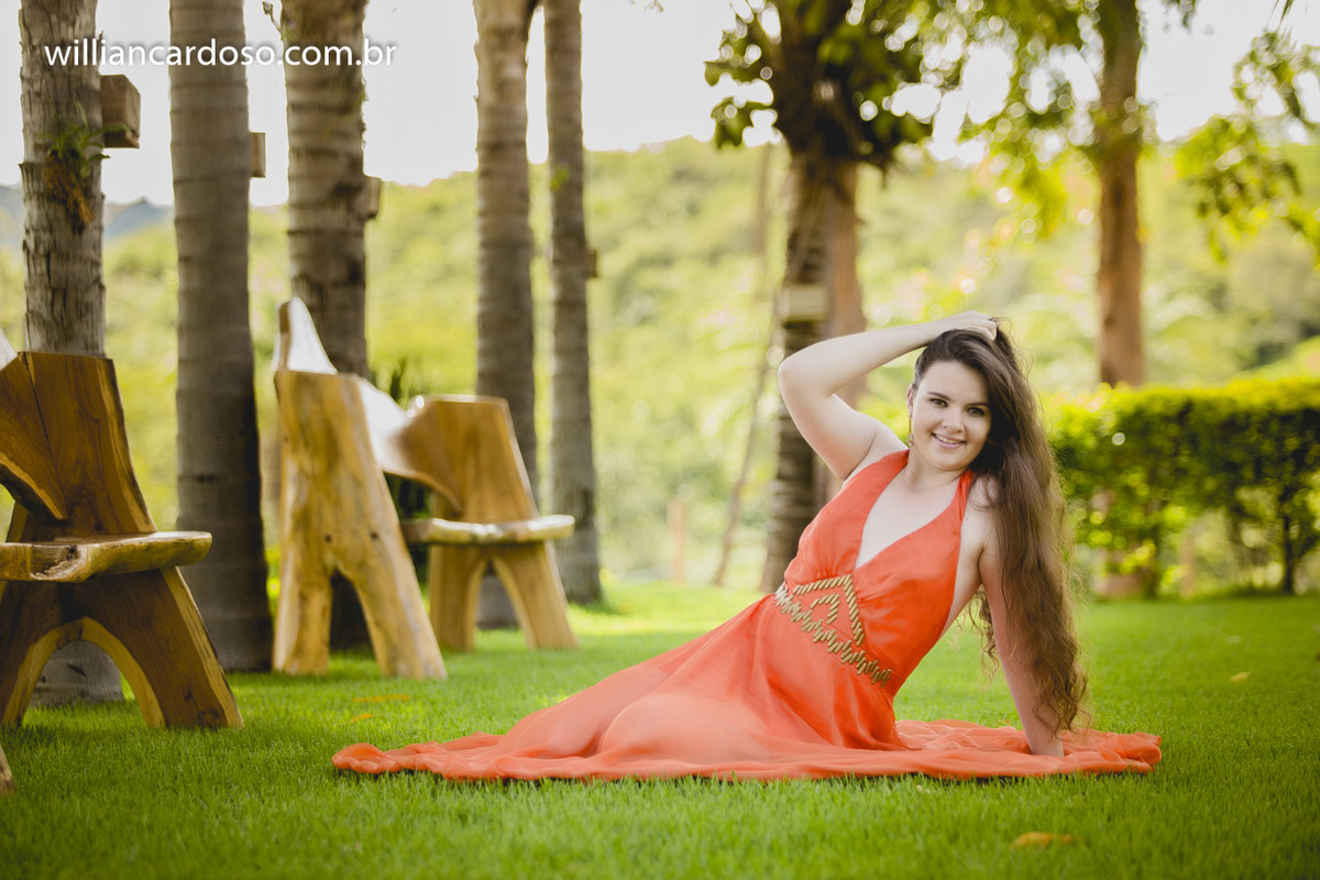 book dos 15 , ensaio de fifeteen , ensaio de 15 anos , books de 15 anos