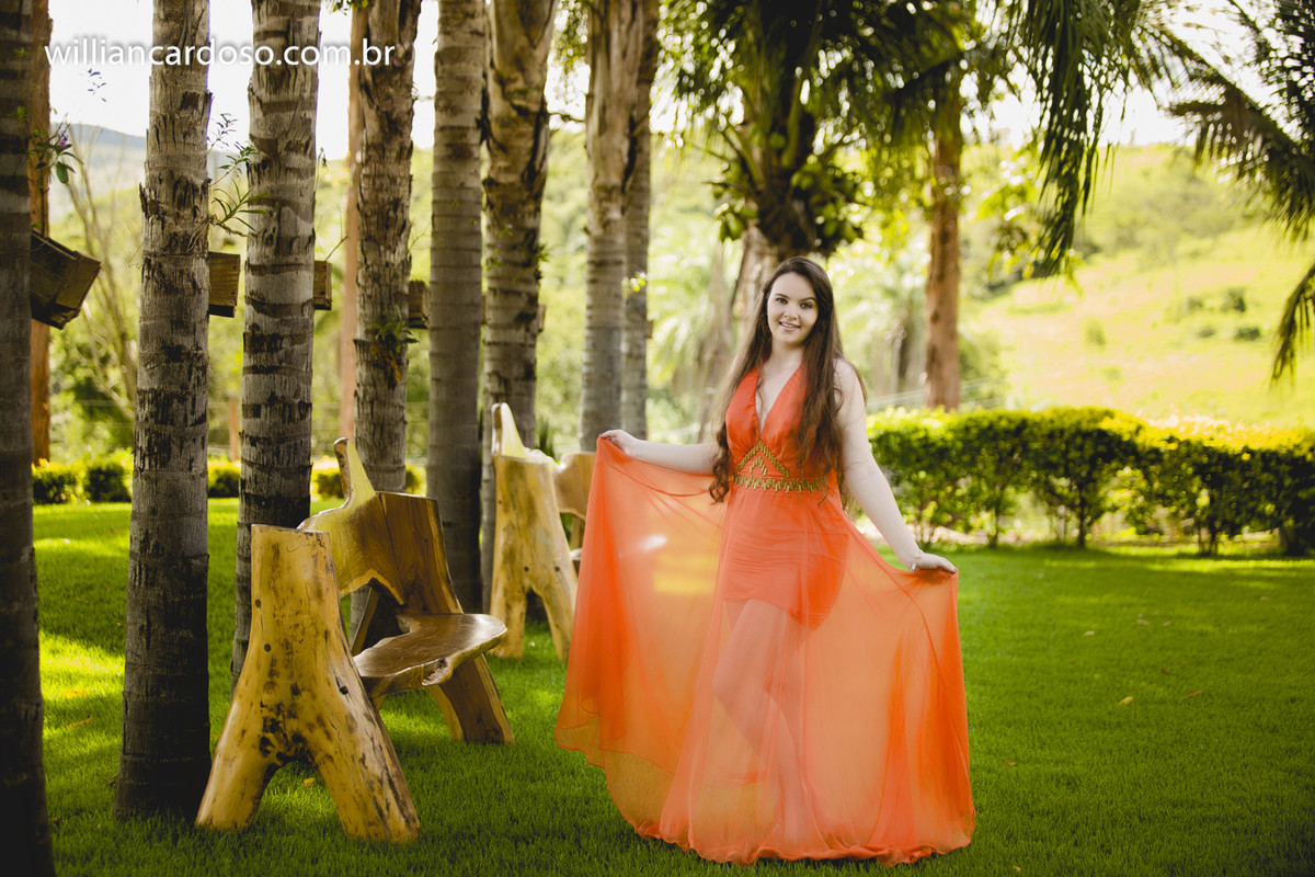 book dos 15 , ensaio de fifeteen , ensaio de 15 anos , books de 15 anos