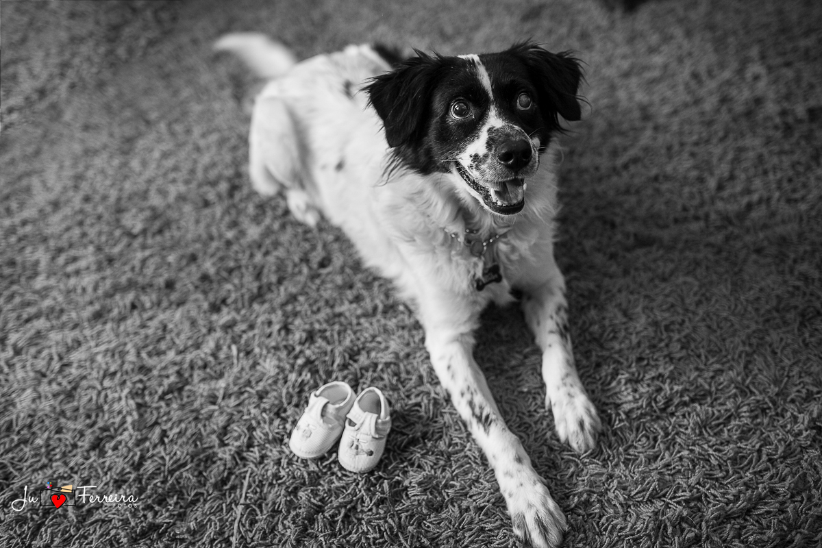 PROMOVIDO A IRMÃO MAIS VELHO