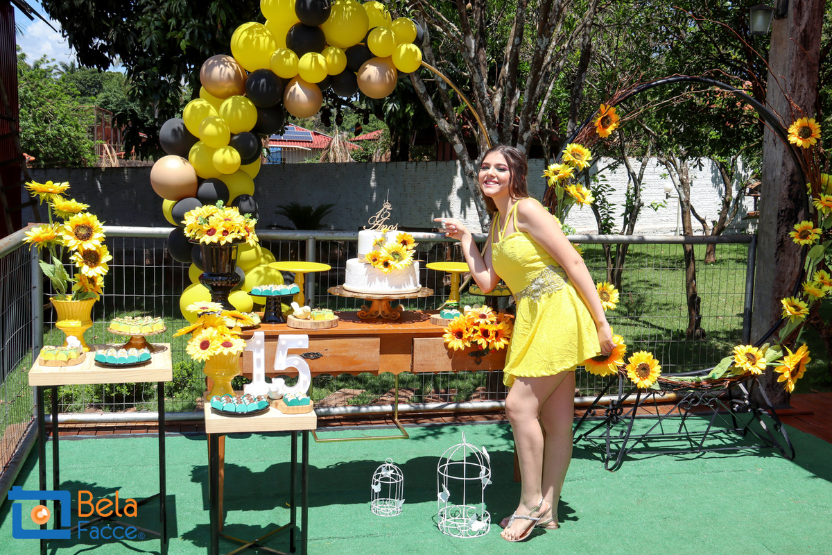 Festa 15 anos debutante
