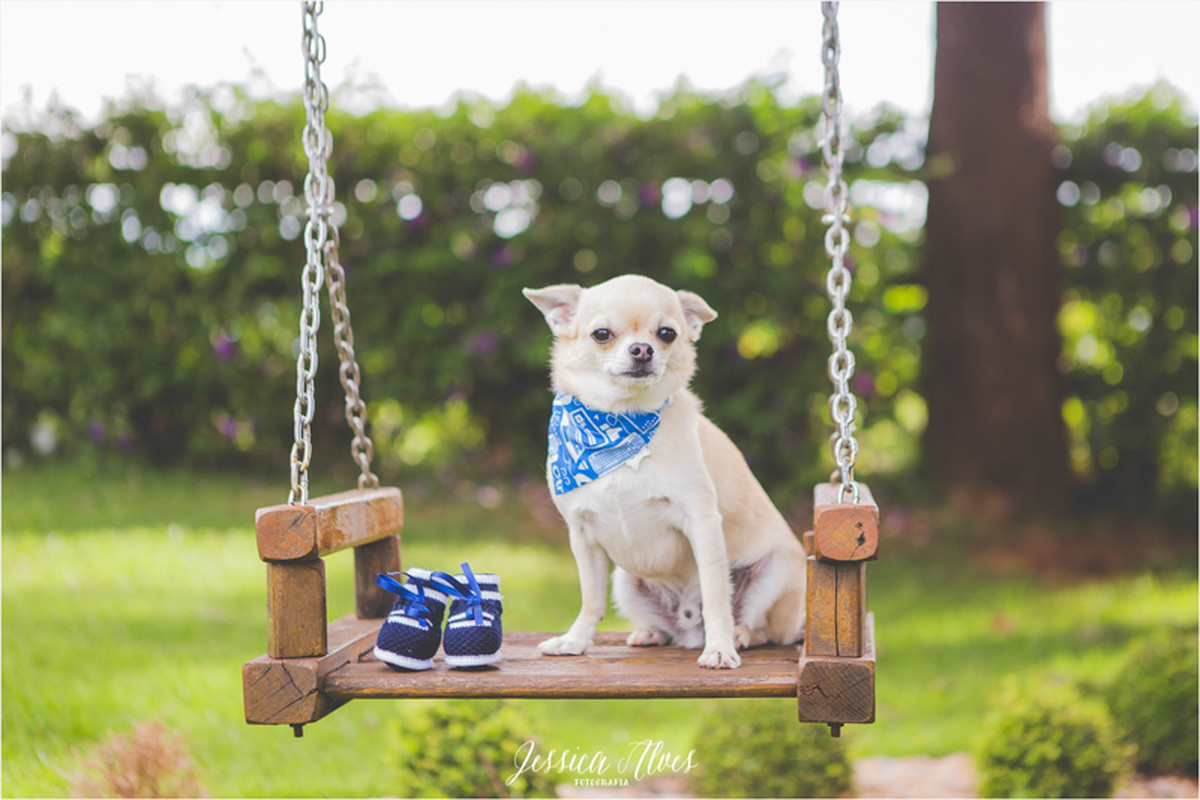 Doce Espera {Henrique}