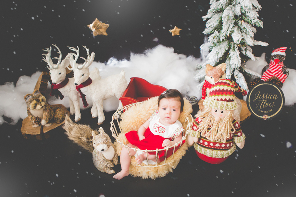 Mini Sessão de Natal 2016
