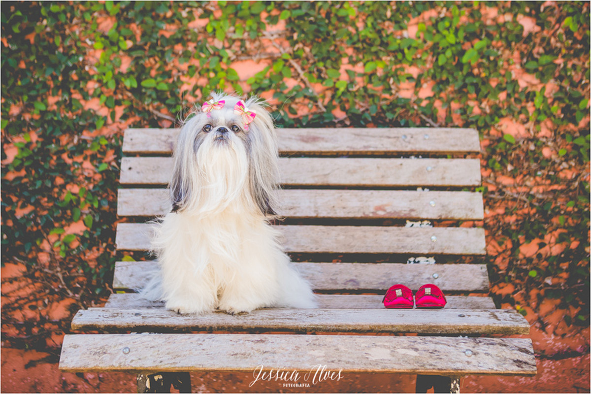 {Alice} Doce Espera