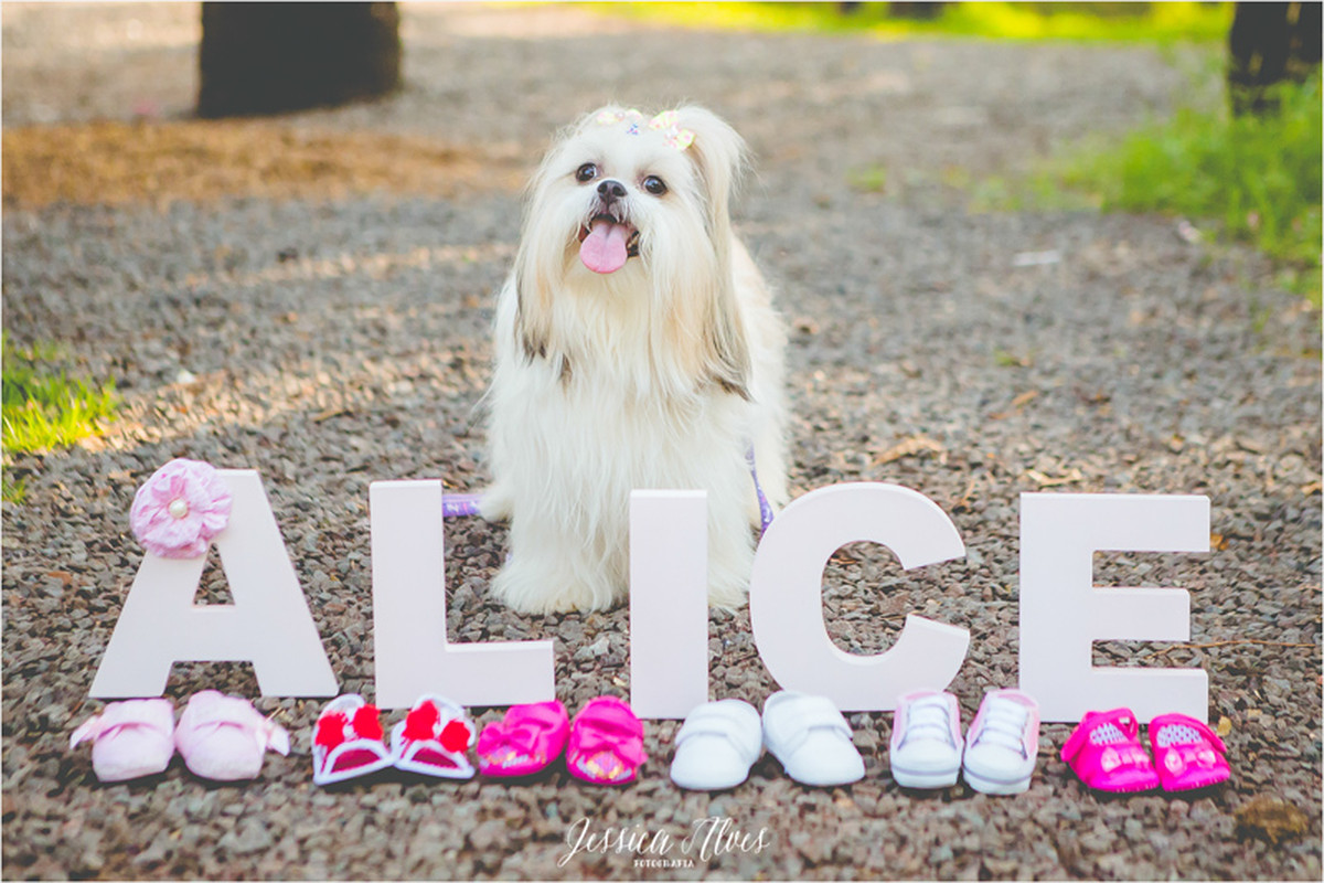 JessicaAlvesFotografia_AliceDE0610_007