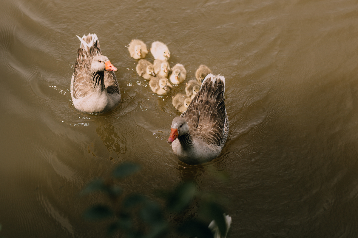 Ensaio de Casal feito em Quatro Barras, região metropolitana de Curitiba. Fotografia de casal. Noivos em Curitiba. Ensaio fotográfico em Curitiba. Noivos no Parque da Ciência em Quatro Barras. 