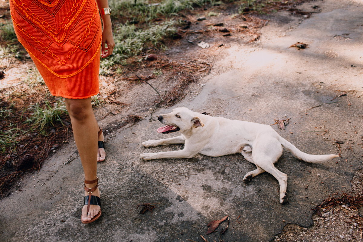 Ensaio de Casal feito em Quatro Barras, região metropolitana de Curitiba. Fotografia de casal. Noivos em Curitiba. Ensaio fotográfico em Curitiba. Noivos no Parque da Ciência em Quatro Barras. 