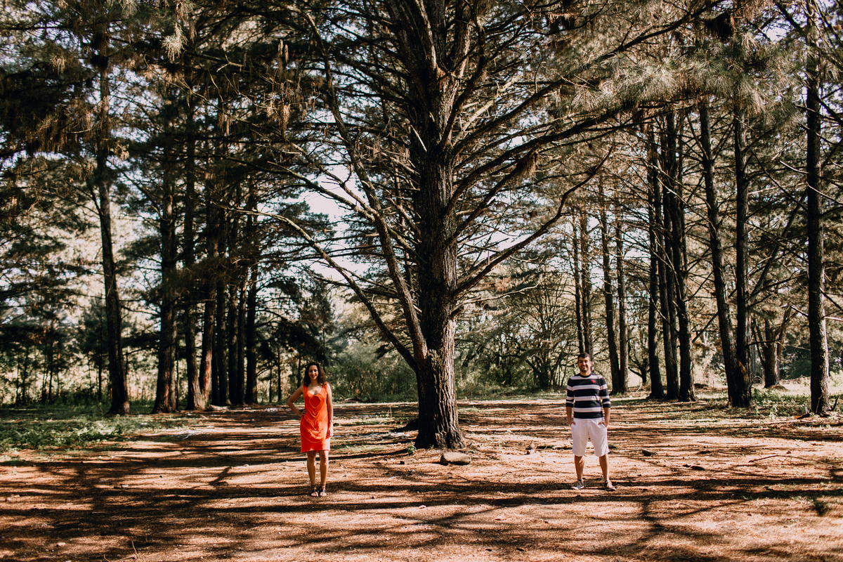 Ensaio de Casal feito em Quatro Barras, região metropolitana de Curitiba. Fotografia de casal. Noivos em Curitiba. Ensaio fotográfico em Curitiba. Noivos no Parque da Ciência em Quatro Barras. 
