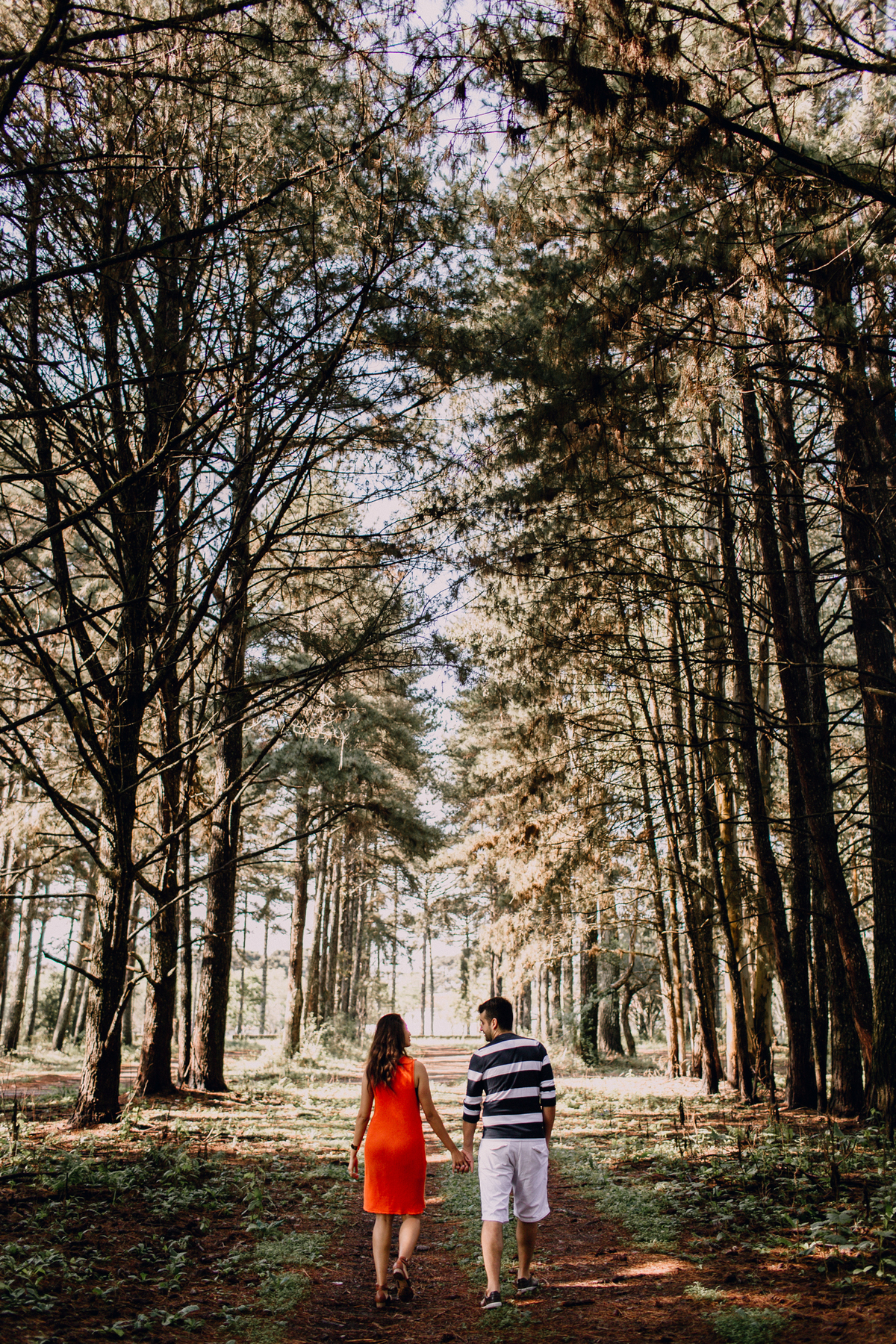 Ensaio de Casal feito em Quatro Barras, região metropolitana de Curitiba. Fotografia de casal. Noivos em Curitiba. Ensaio fotográfico em Curitiba. Noivos no Parque da Ciência em Quatro Barras. 