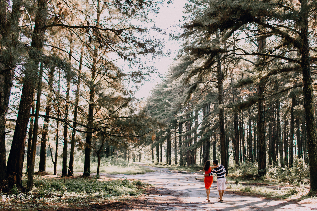 Ensaio de Casal feito em Quatro Barras, região metropolitana de Curitiba. Fotografia de casal. Noivos em Curitiba. Ensaio fotográfico em Curitiba. Noivos no Parque da Ciência em Quatro Barras. 