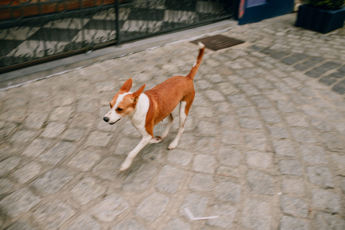 Ensaio de Casal Pré Wedding feito em Morretes cidade histórica perto de Curitiba. Ensaio externo colorido de casal